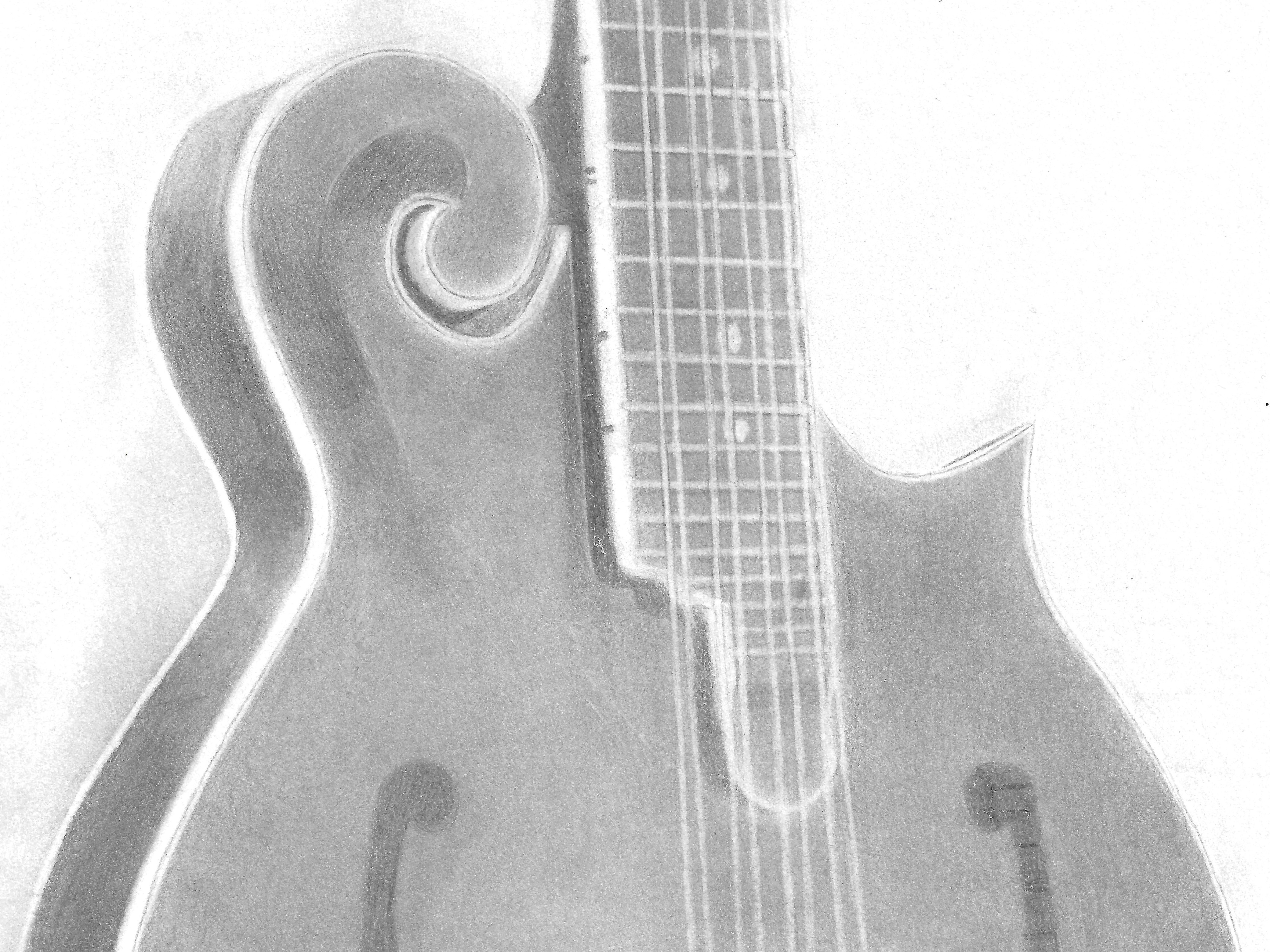 mandolin drawing